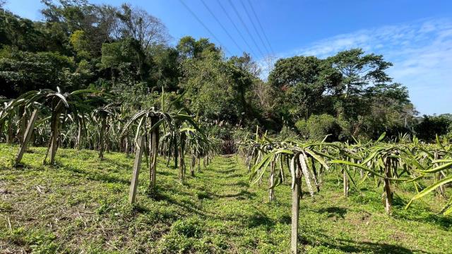 新竹峨眉農地-8