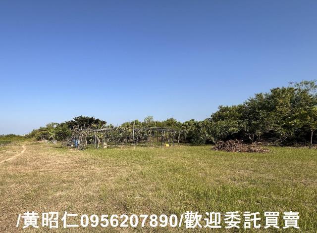 台南安南農地-4