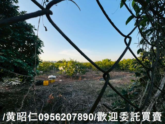 台南農地-7