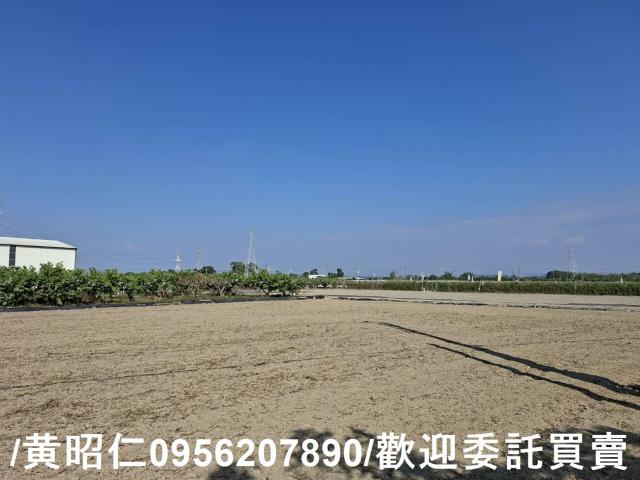 台南農地-5