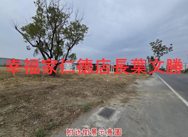 台南仁德農地-1