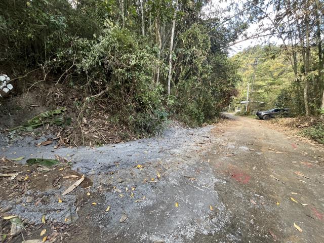 南投鹿谷山坡地-8