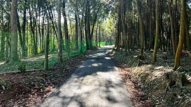 新竹竹東農地-8