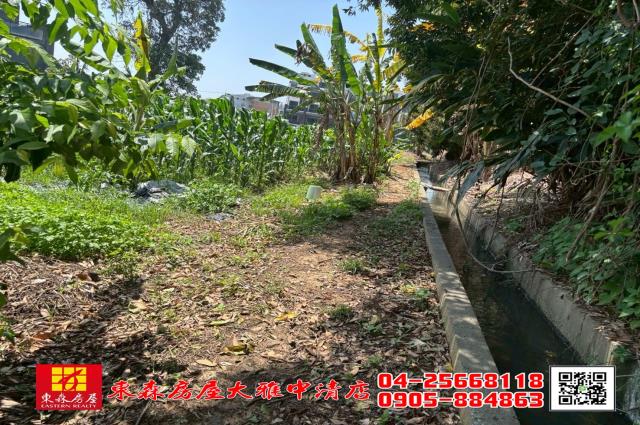 台中大雅農地-5