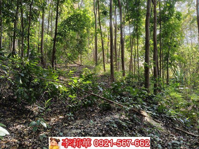 台南龍崎農地-10