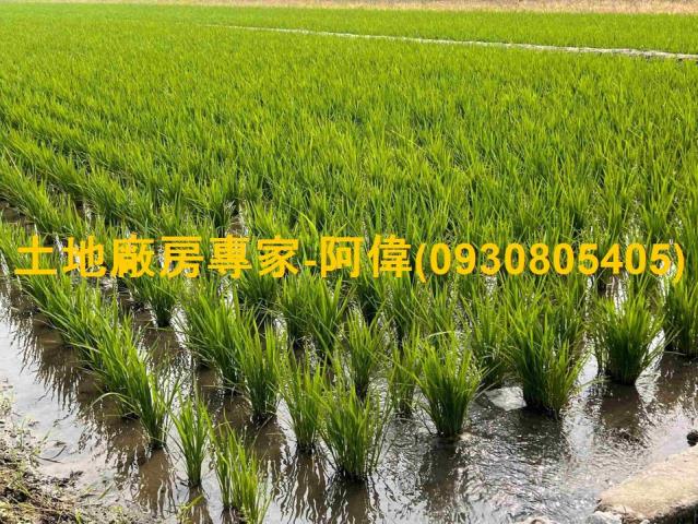 高雄鳥松農地-1