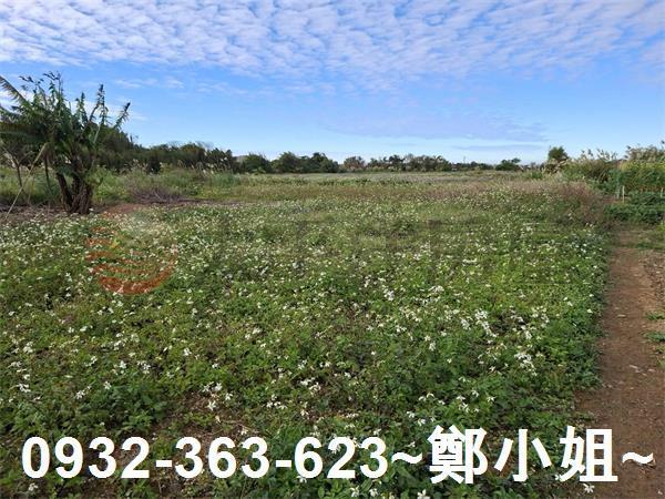 桃園大溪農地-9