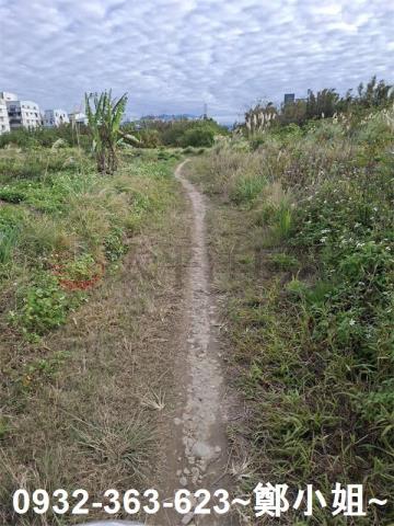 桃園大溪農地-2