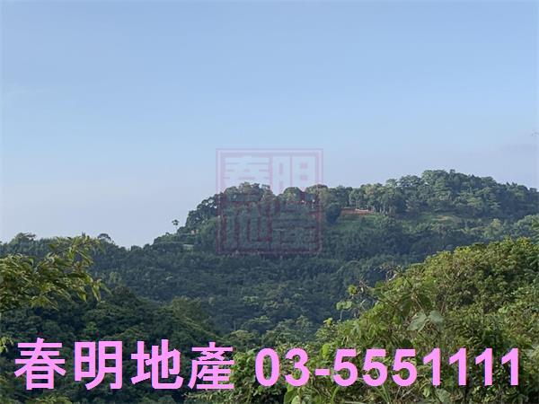 新竹尖石林地-7