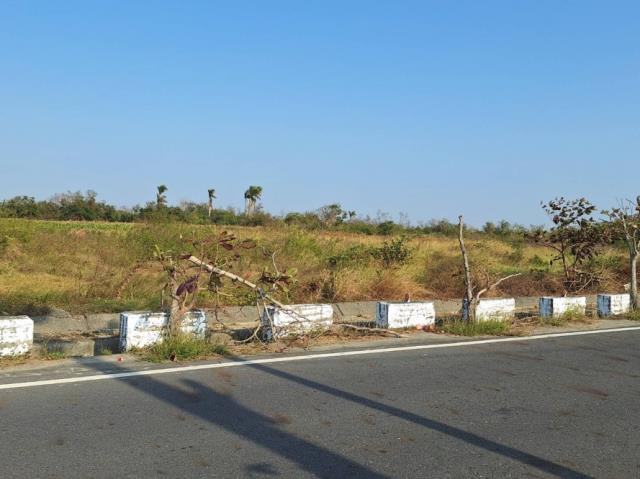 台南學甲農地-7