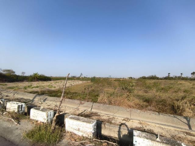 台南學甲農地-8