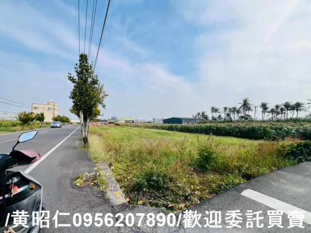 台南安定農地-2