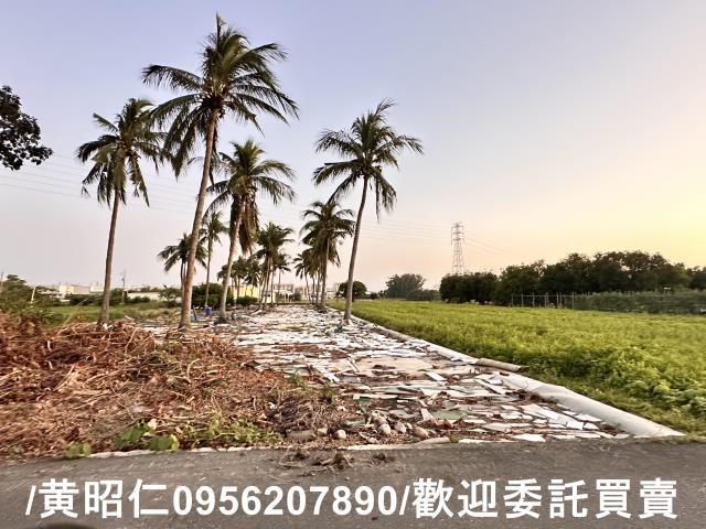 台南仁德農地-6