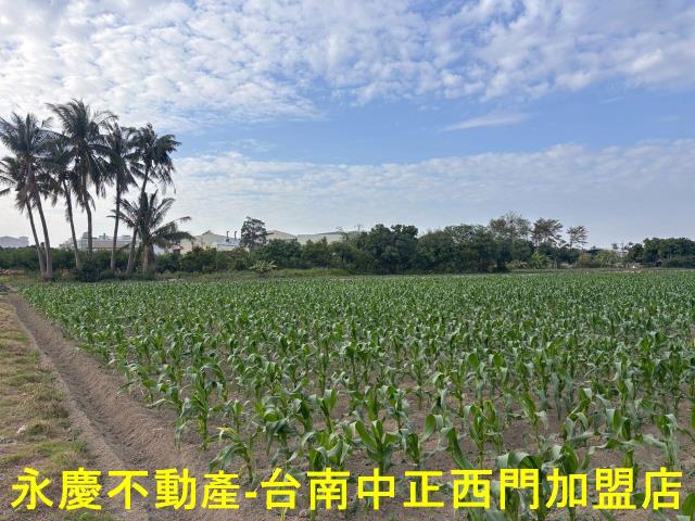 台南安南農地-6