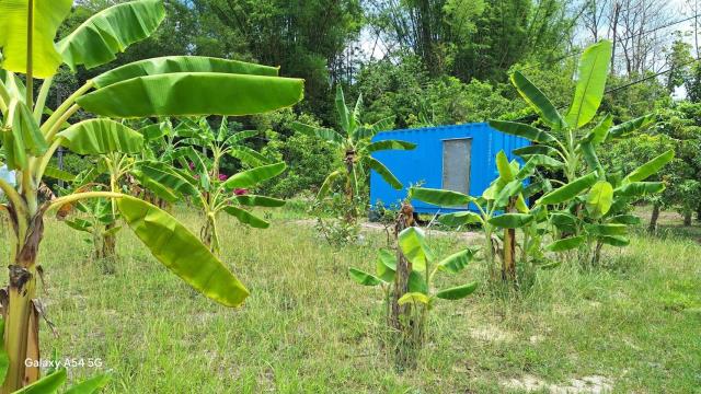 台南左鎮農地-8