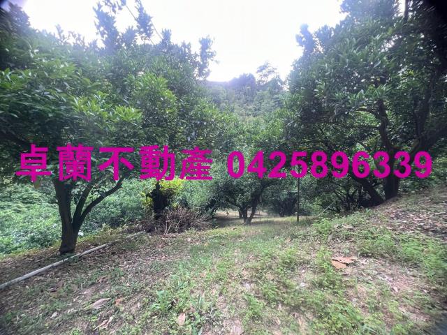 苗栗卓蘭農地-5