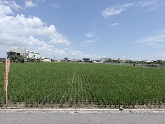 彰化農地-2