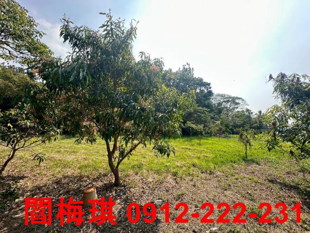 台南楠西農地-1