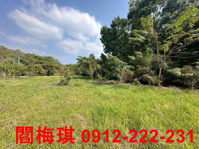 台南楠西農地-7