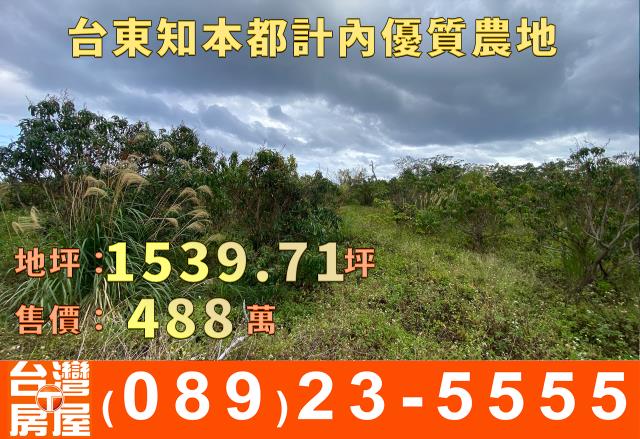 台東台東市農地-6