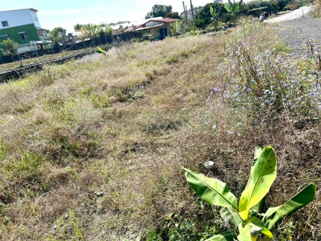 屏東高樹農地-3
