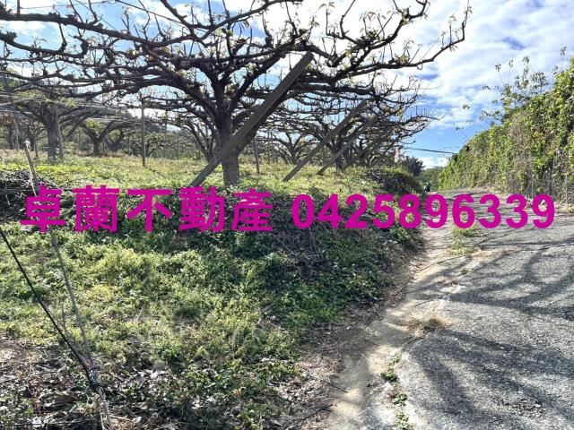 苗栗卓蘭農地-4