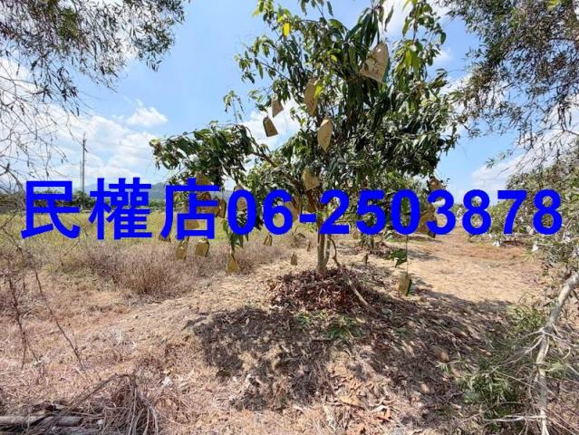 台南玉井農地-10