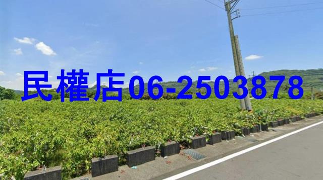 台南玉井農地-1