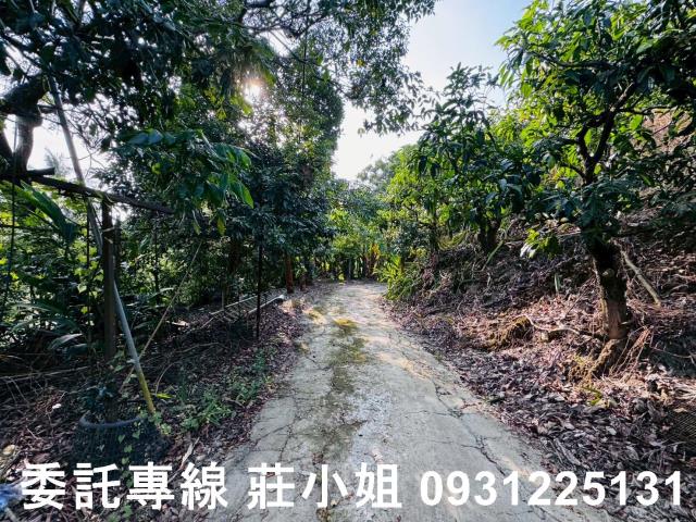 台南左鎮農地-2