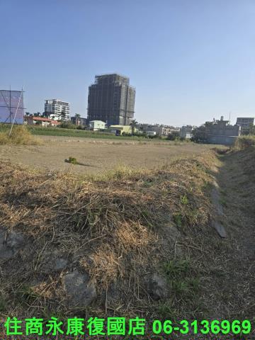 善化農地-7