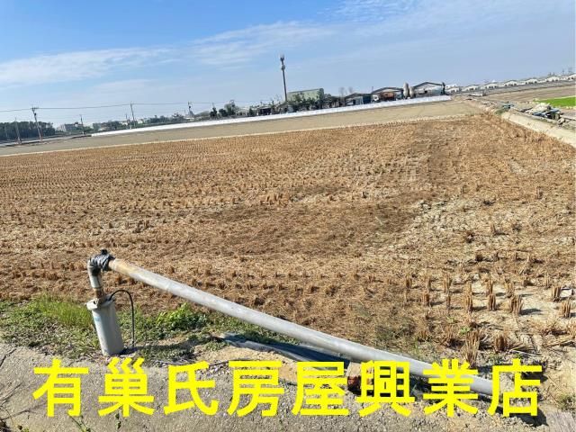 朴子農地-5
