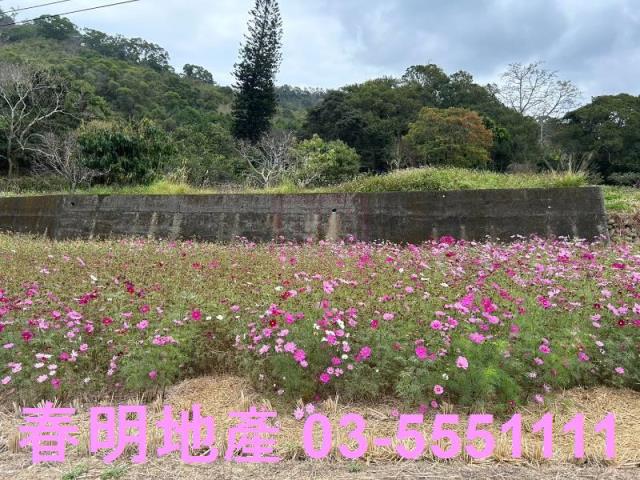 新竹芎林農地-1