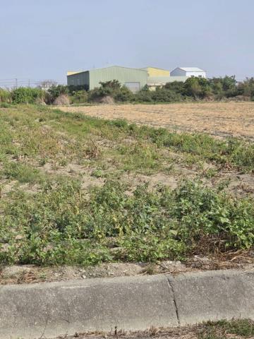 台南農地-7