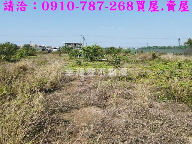 台南農地-10