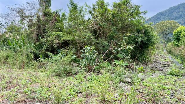 新竹橫山農地-7