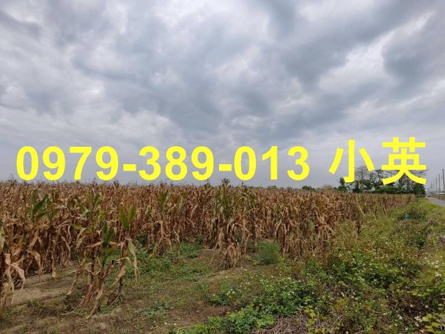 台南鹽水農地-4