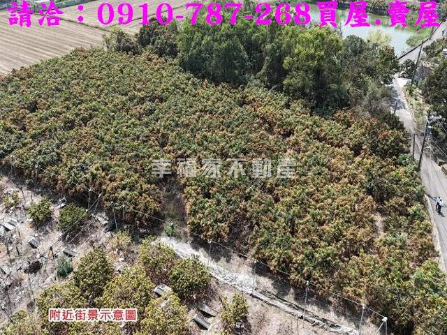 台南官田農地-8