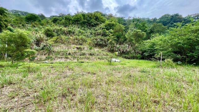 新竹橫山農地-10