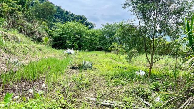 新竹橫山農地-15