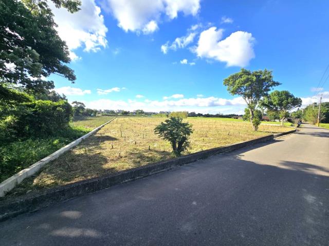 桃園平鎮農地-11