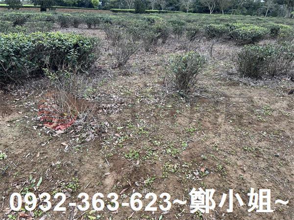 桃園龍潭農地-2