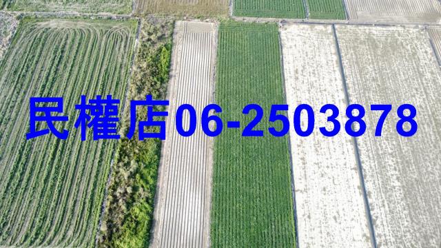 新市農地-5
