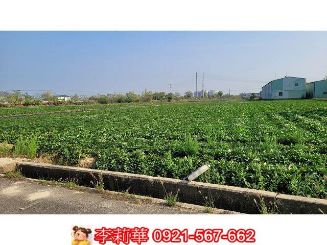 台南農地-7