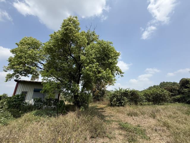屏東農地-3