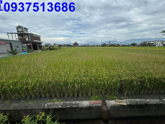 宜蘭壯圍農地-13