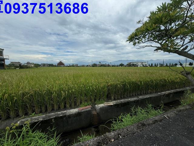 宜蘭壯圍農地-1