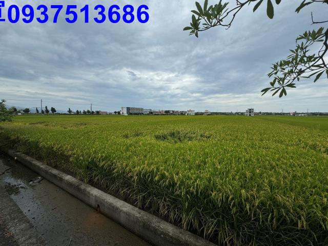 宜蘭壯圍農地-8