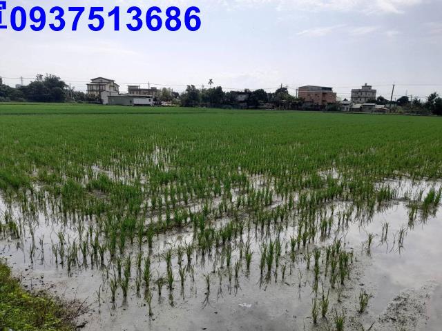 宜蘭壯圍農地-2