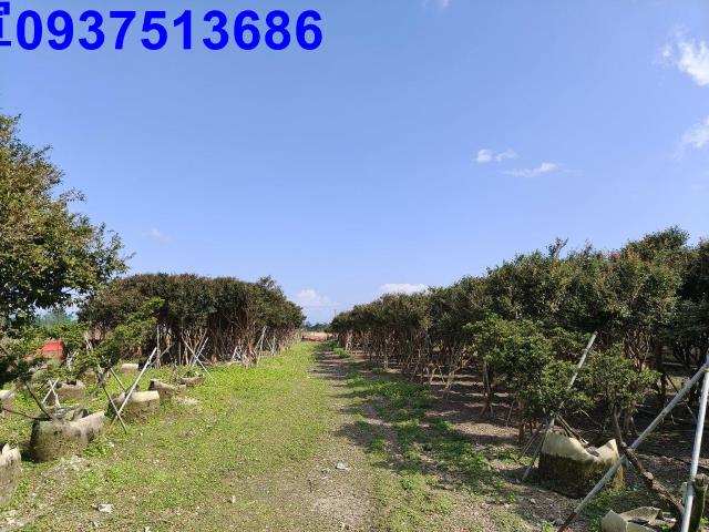 宜蘭礁溪農地-5