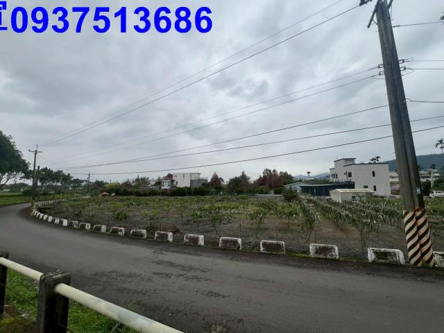 宜蘭礁溪農地-2